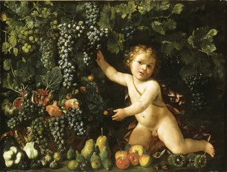 Druer på vintreet, granatepler, druer og nyper i en kurv, med fiken, epler, pærer og kastanjer av en putto