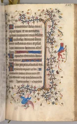 Karl den adeliges, konge av Navarra (1361–1425), timer: fol. 216r, tekst