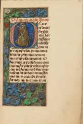 Initial O: Sankt Jakob den større