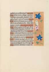 Hours of Queen Isabella the Catholic, Queen of Spain: Fol. 102r, ca. 1500.