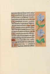 Hours of Queen Isabella the Catholic, Queen of Spain: Fol. 120r, ca. 1500.
