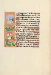 Dronning Isabella den katolske, dronning av Spanias tidebønner: Fol. 120v