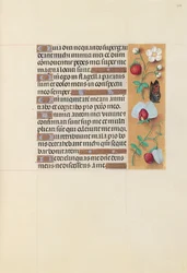 Hours of Queen Isabella the Catholic, Queen of Spain: Fol. 204r, ca. 1500.
