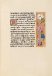 Hours of Queen Isabella the Catholic, Queen of Spain: Fol. 218r, ca. 1500.