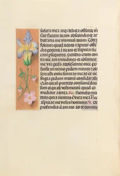 Hours of Queen Isabella the Catholic, Queen of Spain: Fol. 237v, ca. 1500.