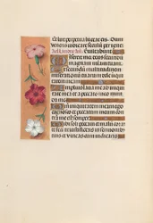 Hours of Queen Isabella the Catholic, Queen of Spain: Fol. 246v, ca. 1500.