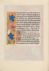 Hours of Queen Isabella the Catholic, Queen of Spain: Fol. 25v, c. 1500.