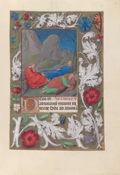 Dronning Isabella den katolske, dronning av Spanias timer: Fol. 57r, Smerte i hagen