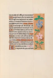 Hours of Queen Isabella the Catholic, Queen of Spain: Fol. 62r, ca. 1500.