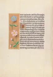 Hours of Queen Isabella the Catholic, Queen of Spain: Fol. 62v, ca. 1500.