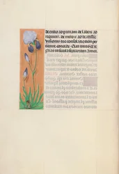 Hours of Queen Isabella the Catholic, Queen of Spain: Fol. 79v, ca. 1500.