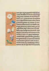 Hours of Queen Isabella the Catholic, Queen of Spain: Fol. 95v, ca. 1500.