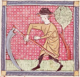 Fol.58v juni: Høsting