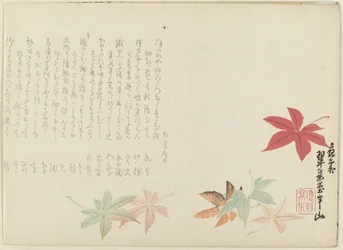 Japansk lønn