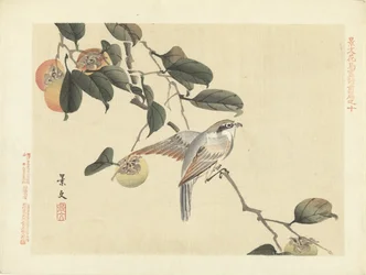 Fugl og persimmon Blomster- og fugleskisser fra Keibun – del én (serietittel) Keibun kacho gafu zen penn (serietittel på objekt)