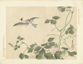 Fugl som flyr vekk fra krypinn med rosa blomster Blomster- og fugleskisser av Keibun- del tre (serietittel) Keibun kacho gafu kohen (serietittel på objekt)