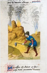 Le Livre des simples medecines - oversettelse til fransk fra det latinske manuskriptet fra 1100-tallet av Matthaeus Platearius (pergament)