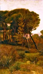 Kveld