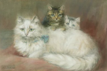 En perserkatt og kattungene hennes
