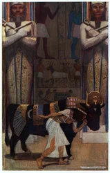 The Girl Wife and the Bath Bull, illustrasjon fra 