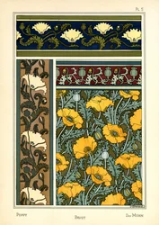 The Poppy (farge litho)