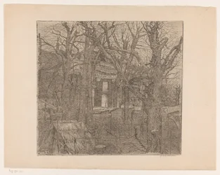 Trær rundt et hus Hage i Amsterdam (original tittel)