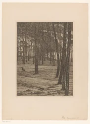 Dennenbosch I (original tittel på objekt) Bos (original tittel)