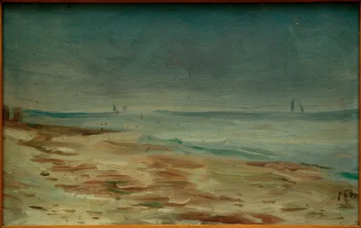 Sjøstrand, brun og grå