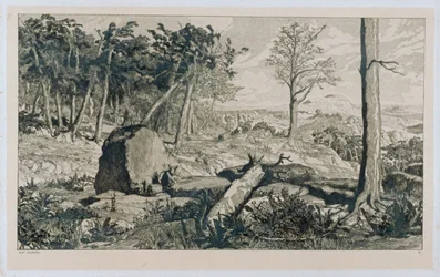 Fjelllandskap