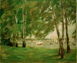 Bjørker ved Wannsee-bredden i øst
