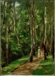 Birkenweg i Wannsee i vest