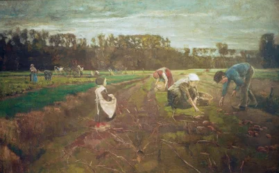 Kartoffelernte i Barbizon