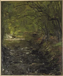 En skogsbekk