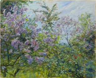 Blomstrende syrin