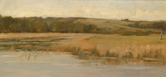 Ås og myrland
