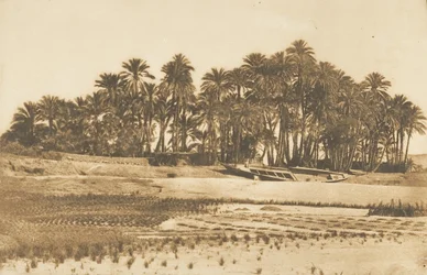 Utsikt over Elephantine Island, overfor Aswan, 1849-50.