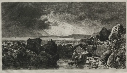 De svarte steinene nær Trouville.