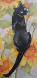 Svart katt blant solsikker
