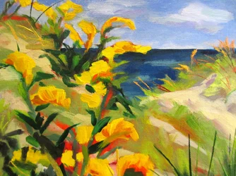 Gule sanddyneblomster