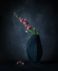 Mørk blomsterprakt