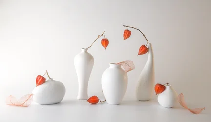 Stilleben med oransje physalis