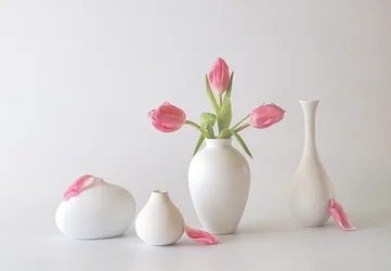 Rosa tulipaner i vaser