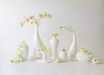 Fredelig orkidéarrangement