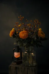Høstblomstenes glød