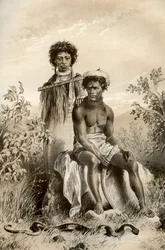 Maorier og teppeslange, New Zealand, 1879