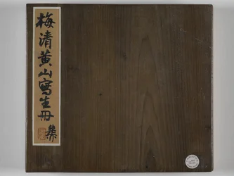 12 utsikt over Huangshan (blekk på silke)