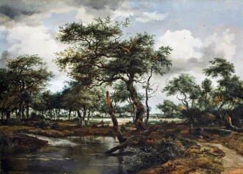 A Pond in the Forest, 1668 (olje på eikepanel)
