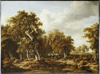 Chenes-skogen …