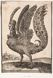 Uidentifisert mytisk dyr, harpy eller sirene