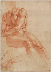 Sittende ung mannlig naken og toarmsstudier (recto), ca. 1510–11